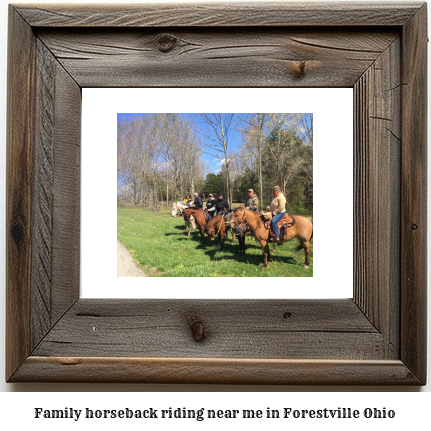 family horseback riding near me in Forestville, Ohio